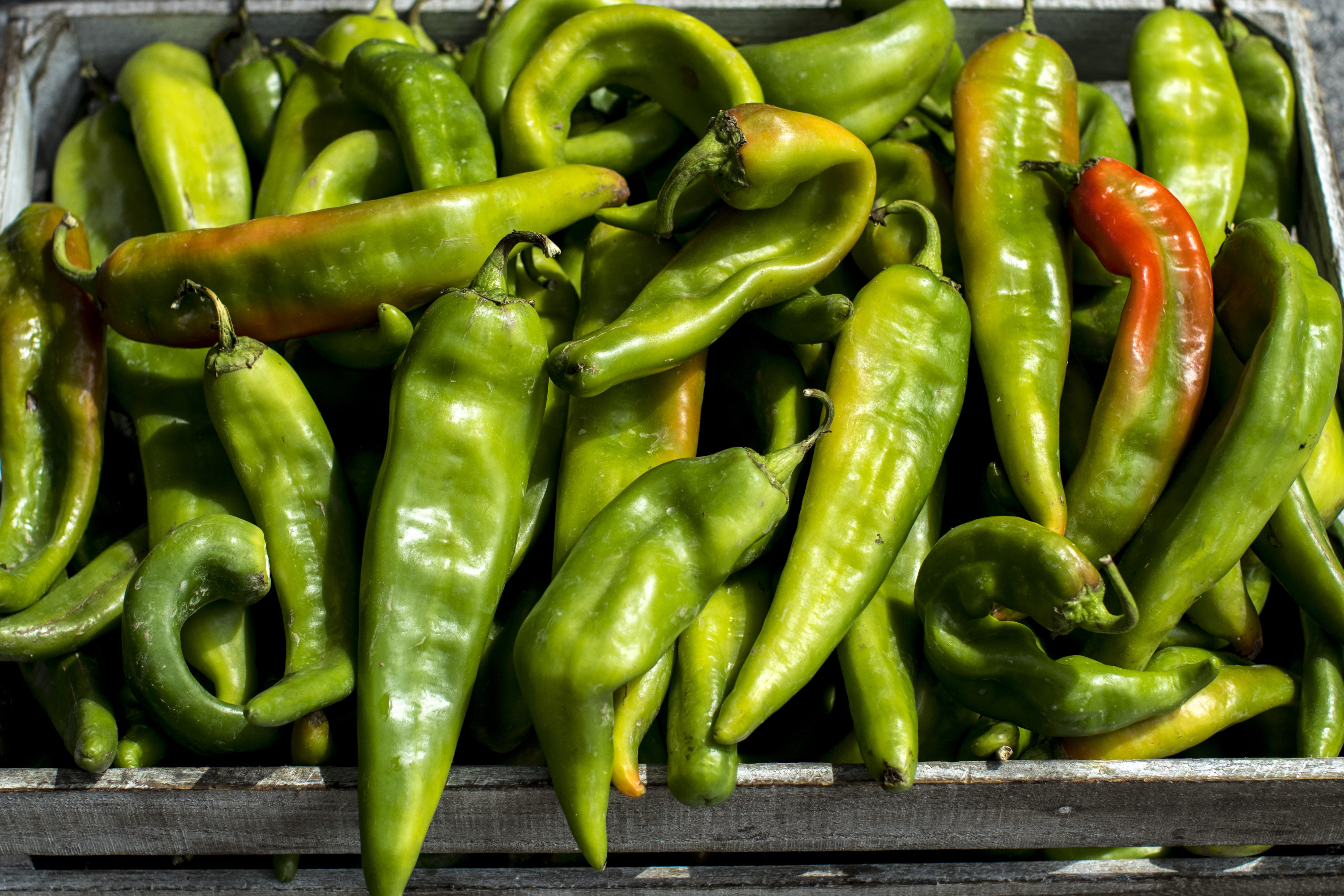 Hatch Chiles