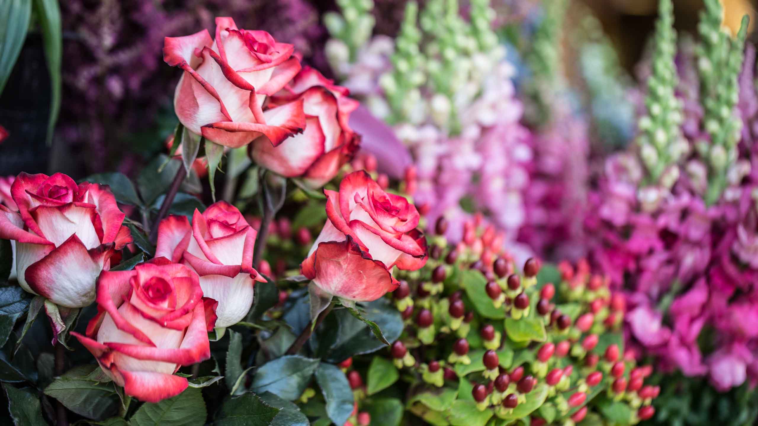 Portland Flower Delivery, Fresh Flowers at Zupan’s Markets