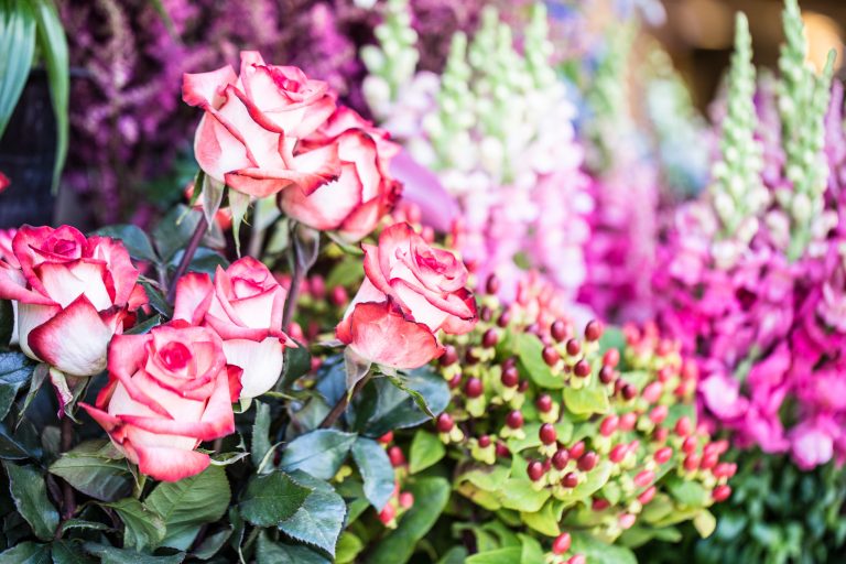 Fresh floral arrangements bouquets zupan s markets