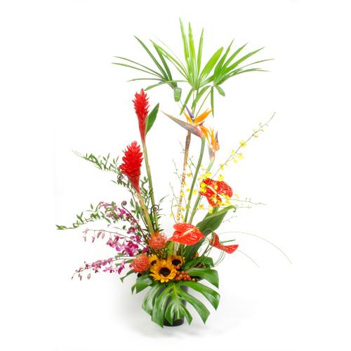 tropical floral arrangement – shop flowers in portland tropical floral arrangement – shop flowers in portland
