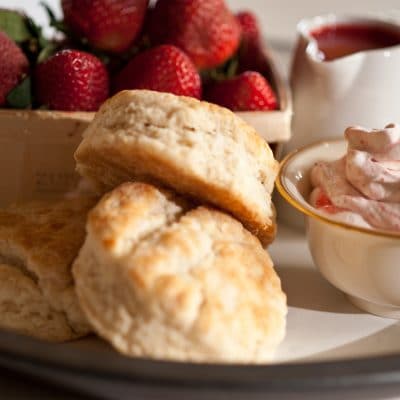 shortcake-web