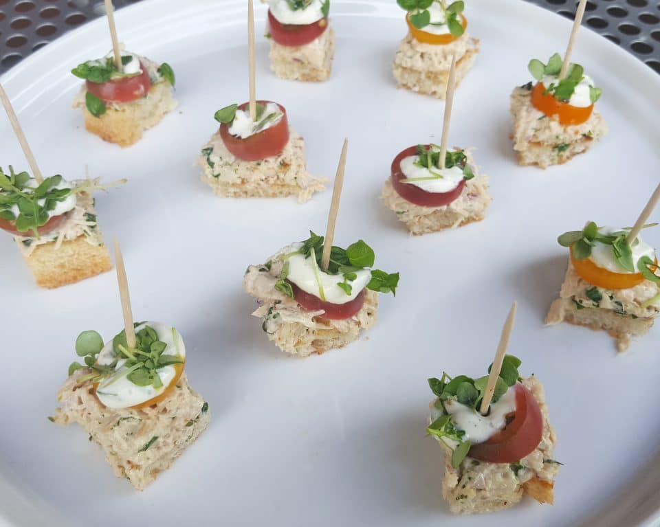 tuna bite appetizers