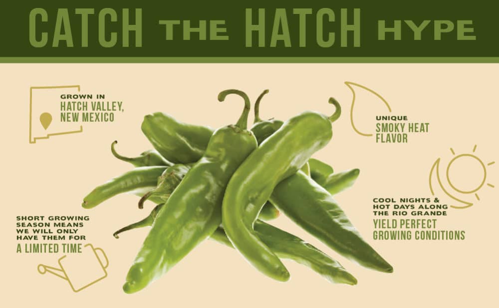 Hatch Chiles