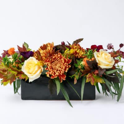 Burst of Autumn