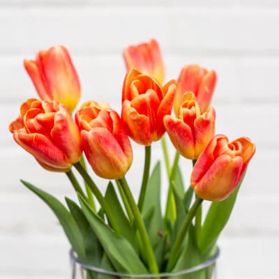 Orange/Red Tulips