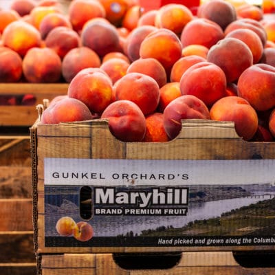 maryhill-peaches