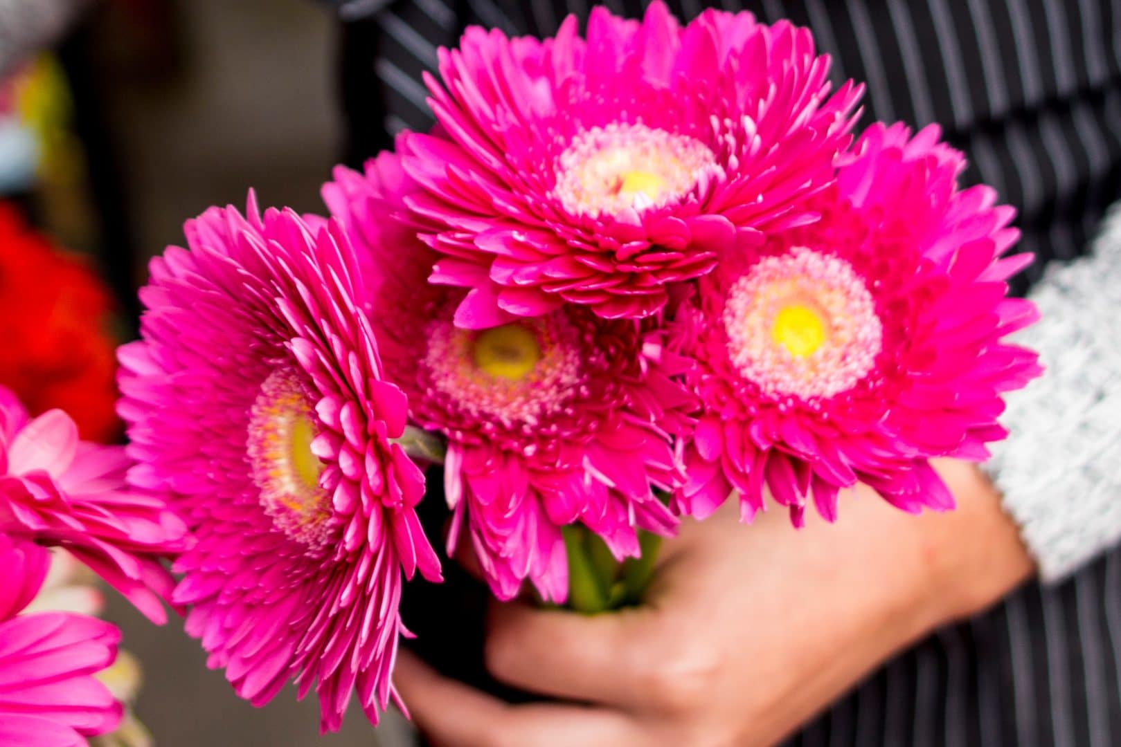 woman holding a pink bouquet