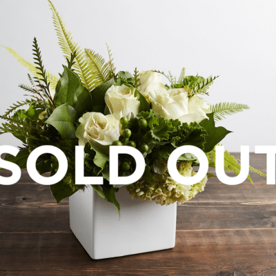MARC 14 SOLD OUT