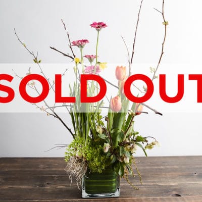 jan 24 sold out