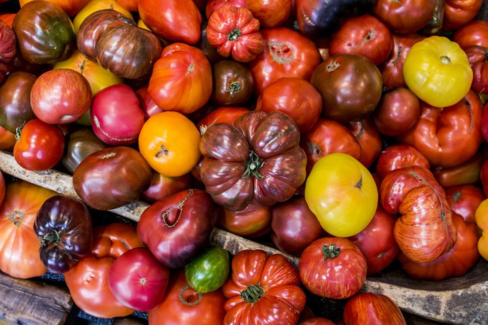 local Oregon heirloom tomatoes