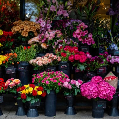 the flower selection from the Burnside Zupan's Markets