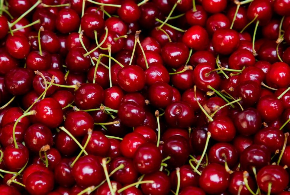 Oregon Bing cherries