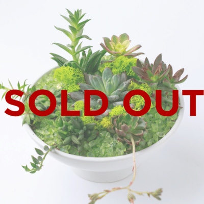 Sold Out banner for Zupan's Markets Wine and Floral Class