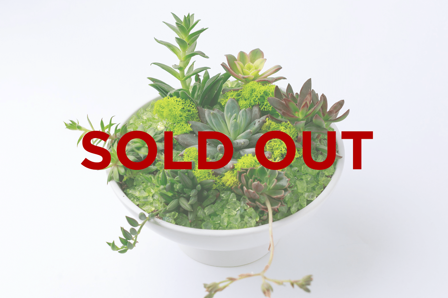 Sold Out banner for Zupan's Markets Wine and Floral Class