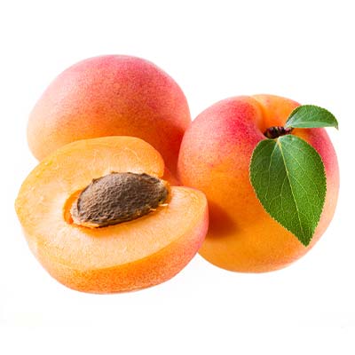 cut apricot on white background