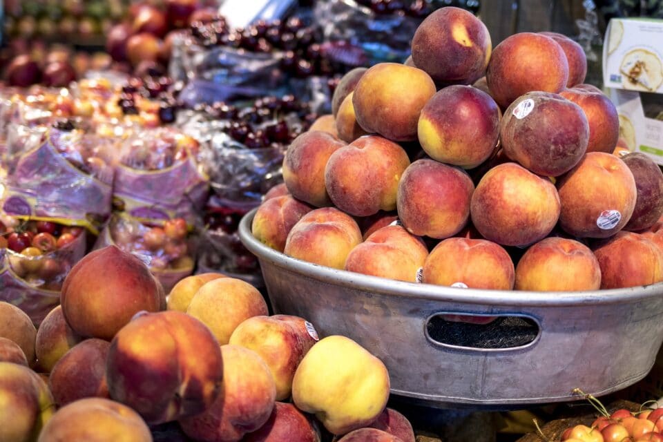 Metal bowl of fresh peaches