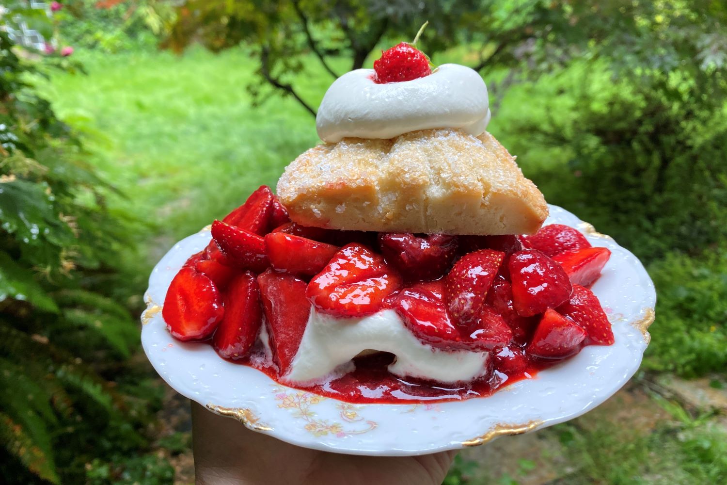 Strawberry Shortcake stuffed with fresh strawberries