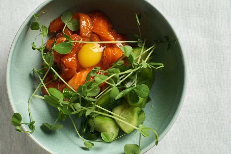 King Salmon sashimi over a bed of pickled cucumbers, micro greens and quail egg