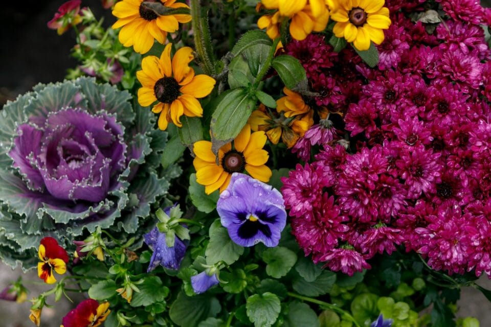 fresh flowers at Zupan's floral department