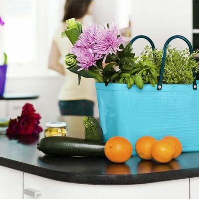 hinza tote