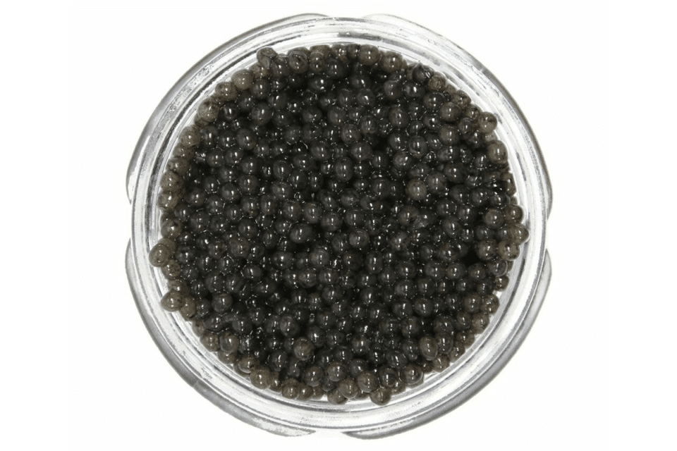 paddlefish caviar
