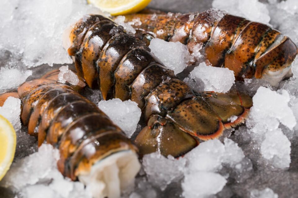 lobster tails from Zupan's seafood