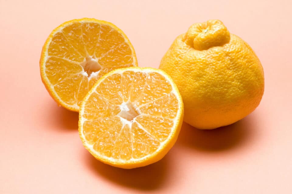 Dekopon at Zupan's Markets in Portland