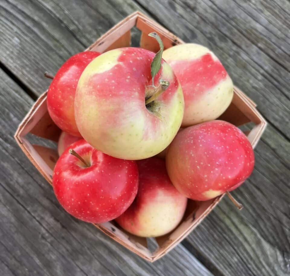 KinderKrisp apples in a box on a wooden table
