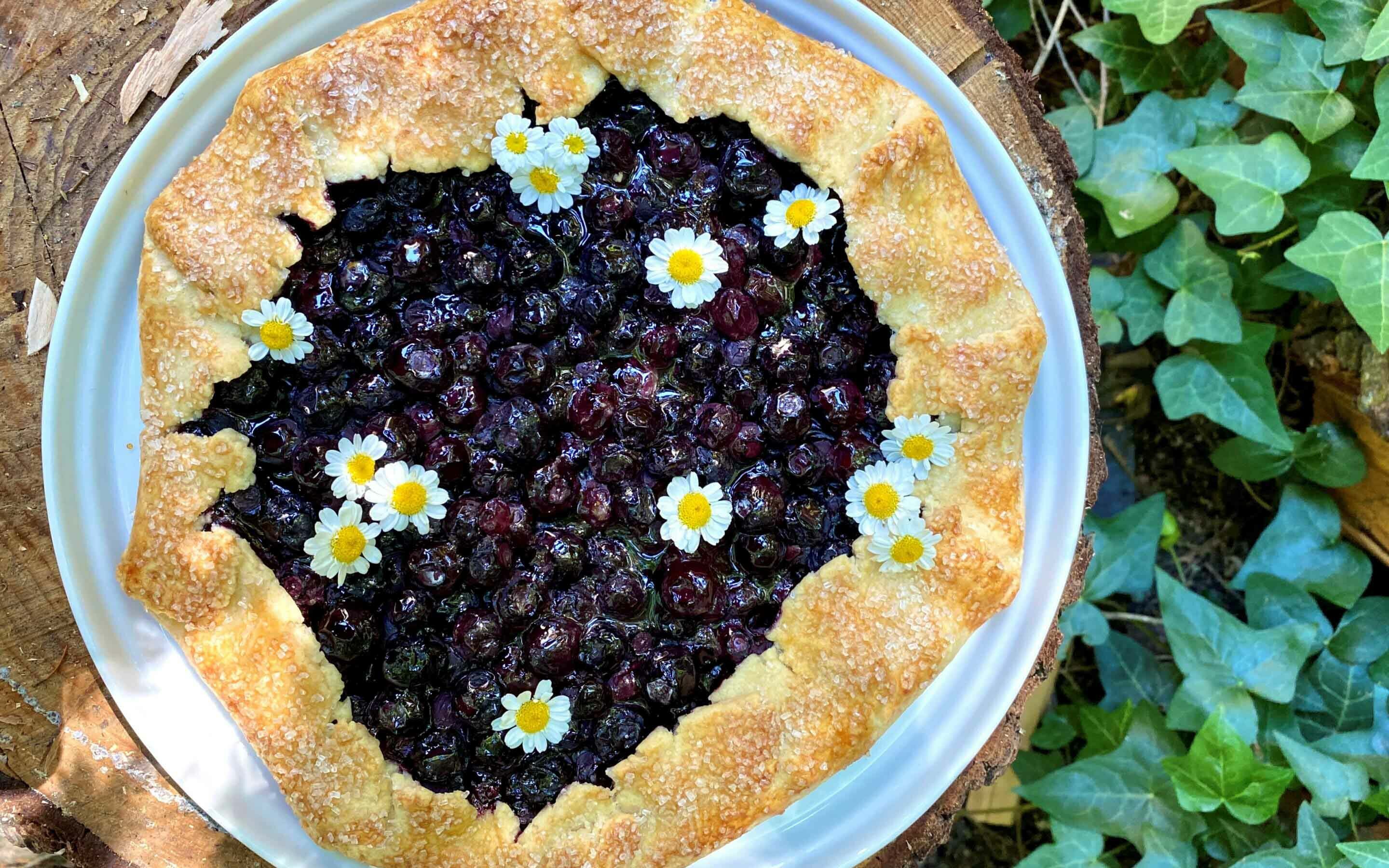 Blueberry galette