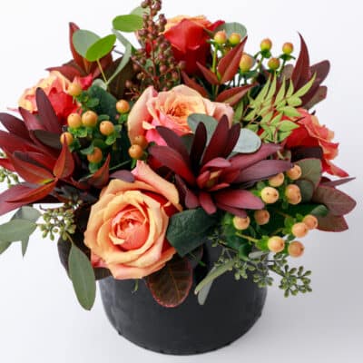 Harvest Rose