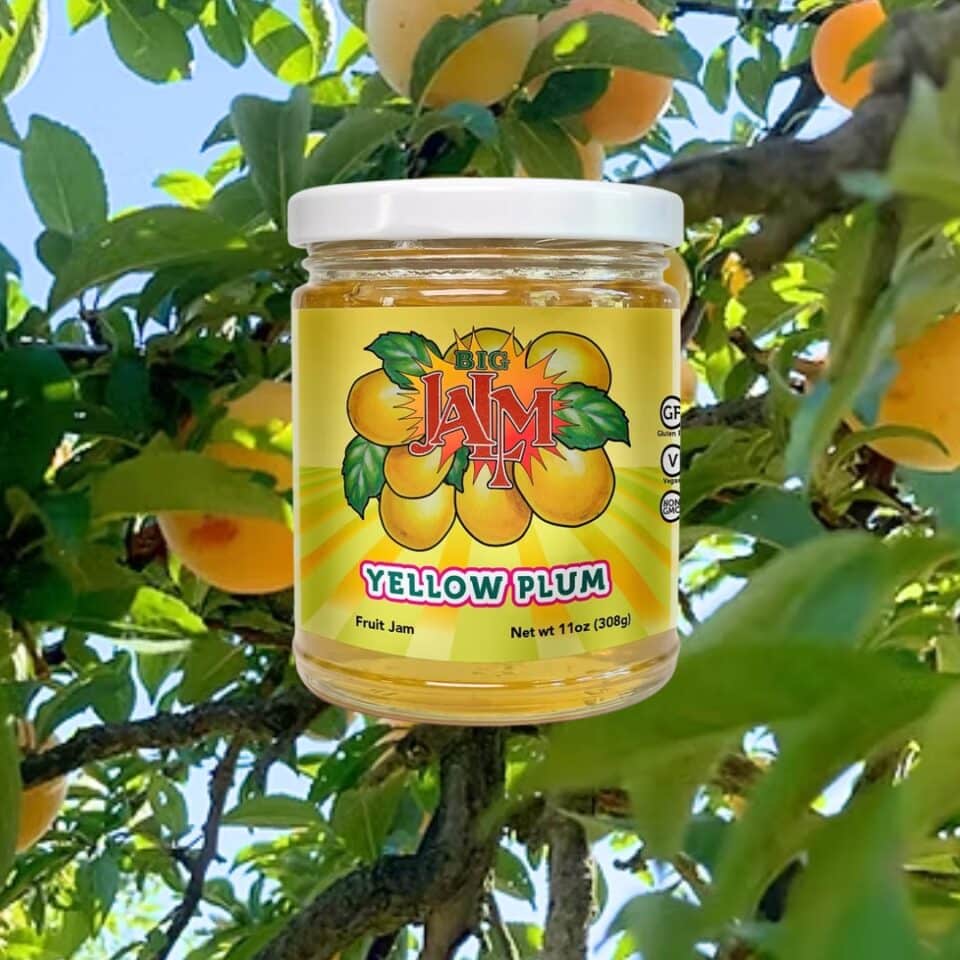 Big Jalm Yellow Plum Jam jar in front of a plum tree