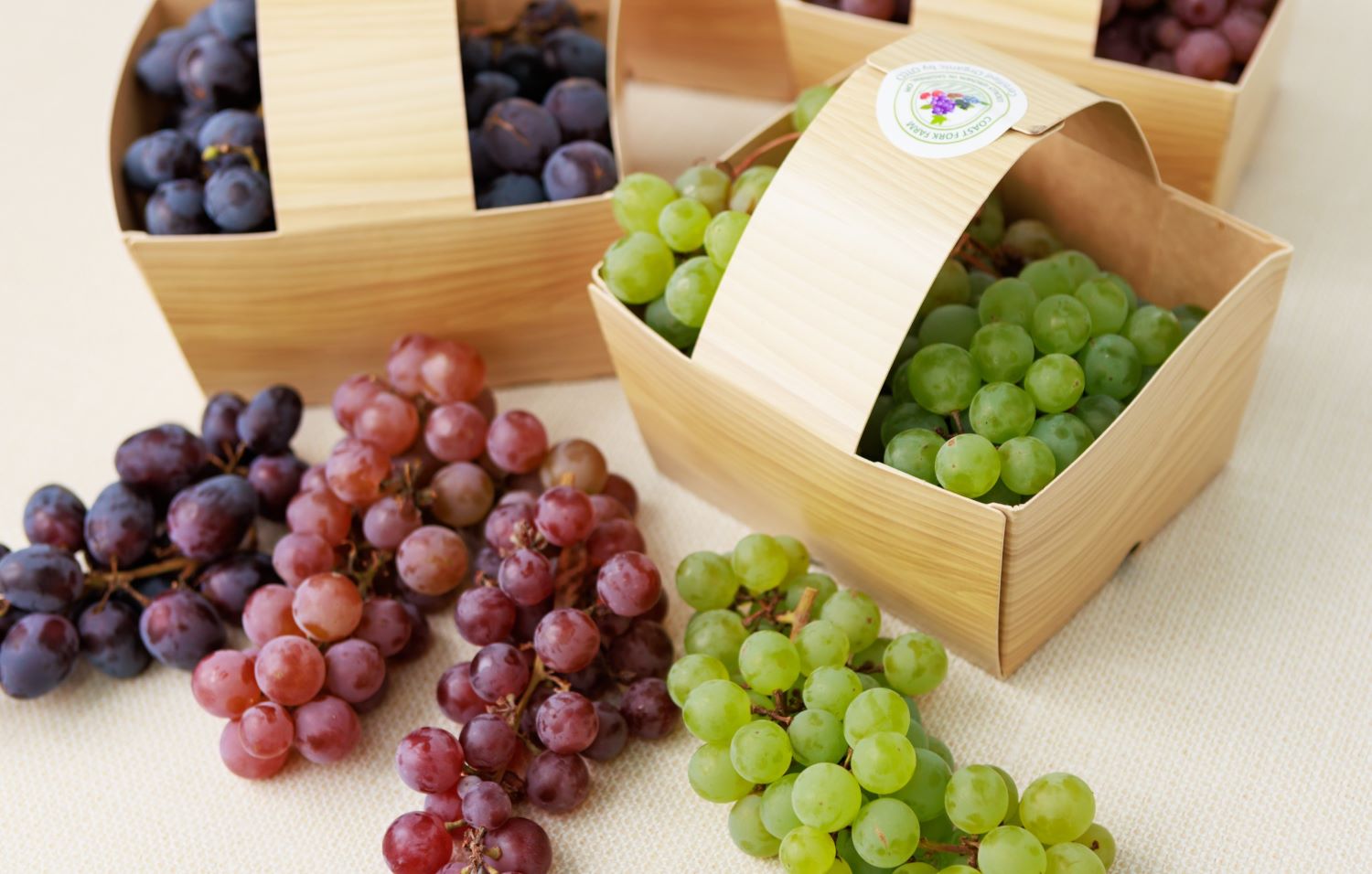 Specialty table grapes grown in the Willamette Valley.