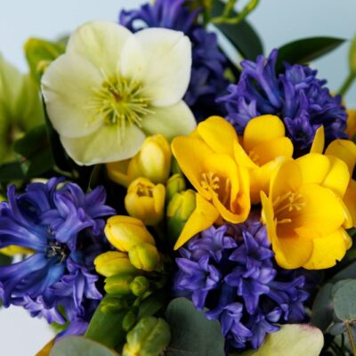 First Of Spring