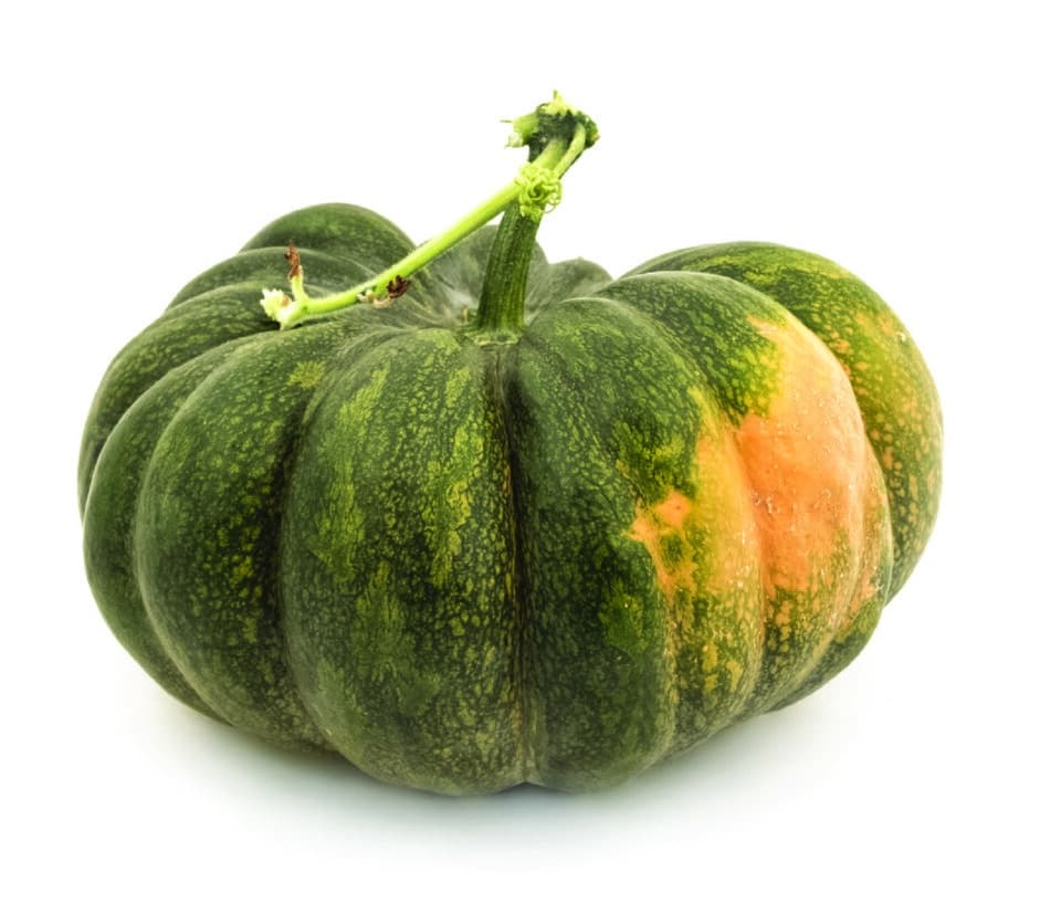 Fairytale Pumpkin