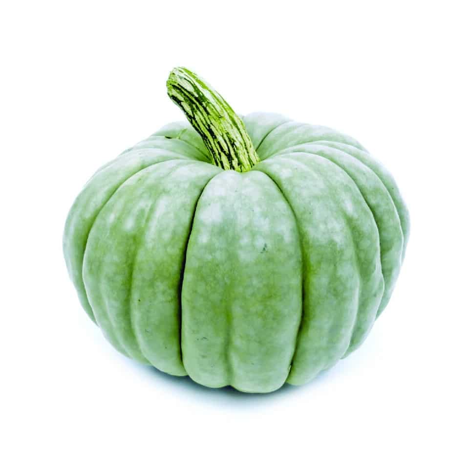 Jarrahdale Pumpkin