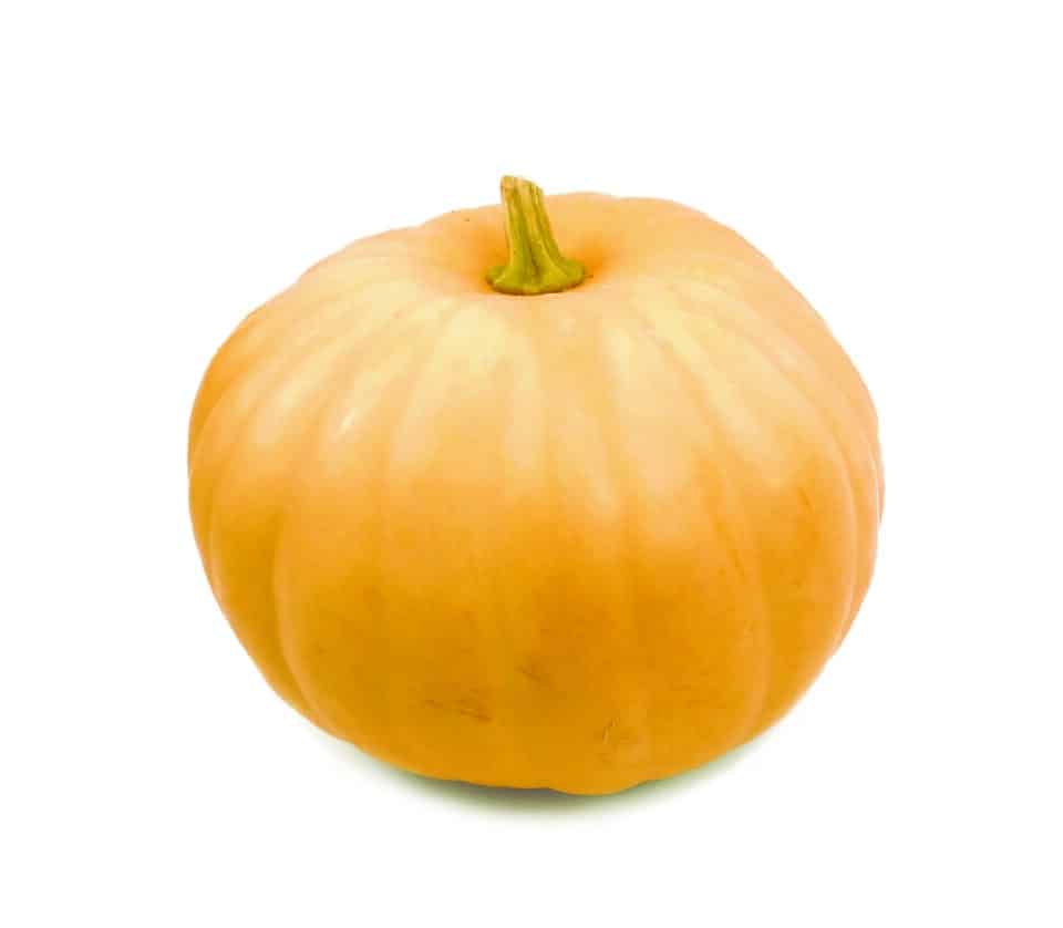 Long Island Cheese Pumpkin