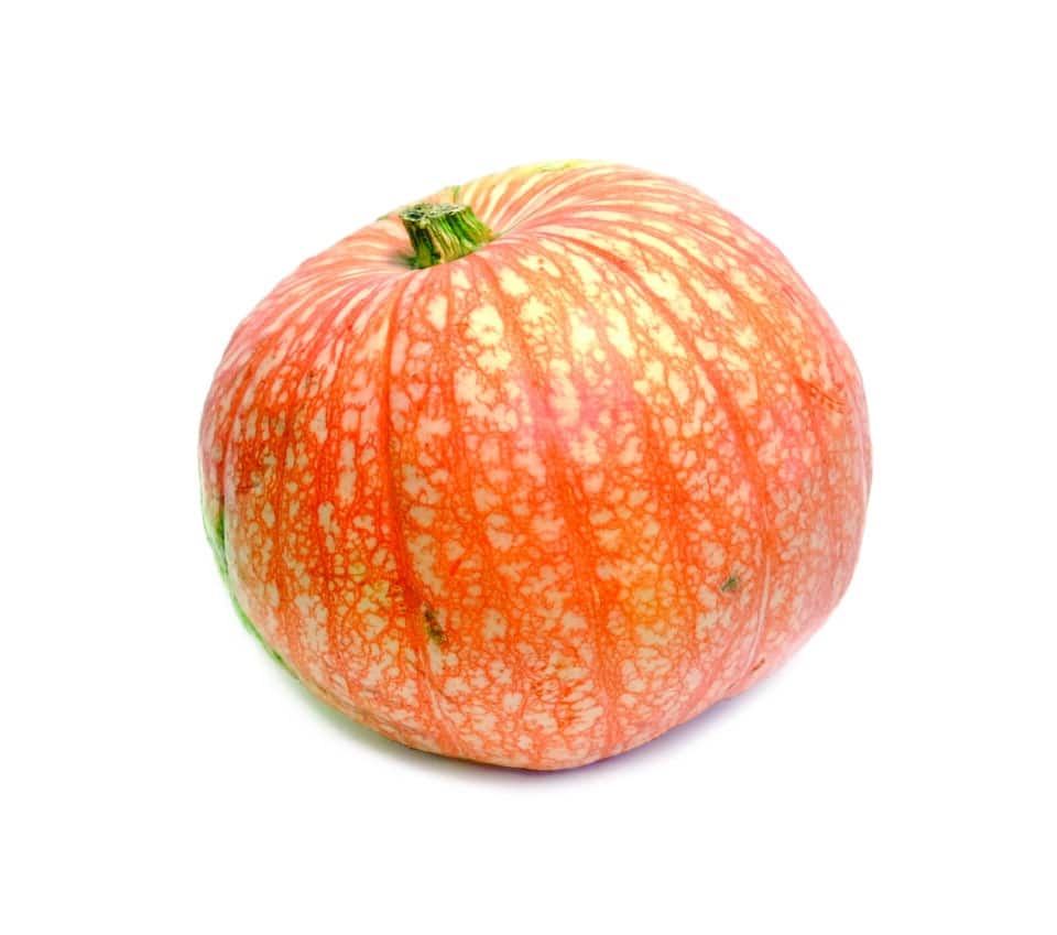 One Too Many Pumpkins at Zupan's Markets
