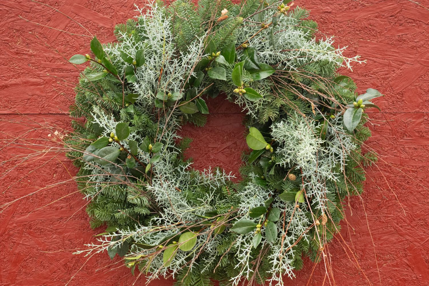 Budded Iced Birch Wreath - 12-inch, $70