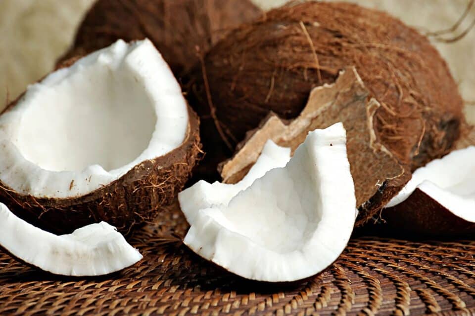 Coconut pieces on a placemat