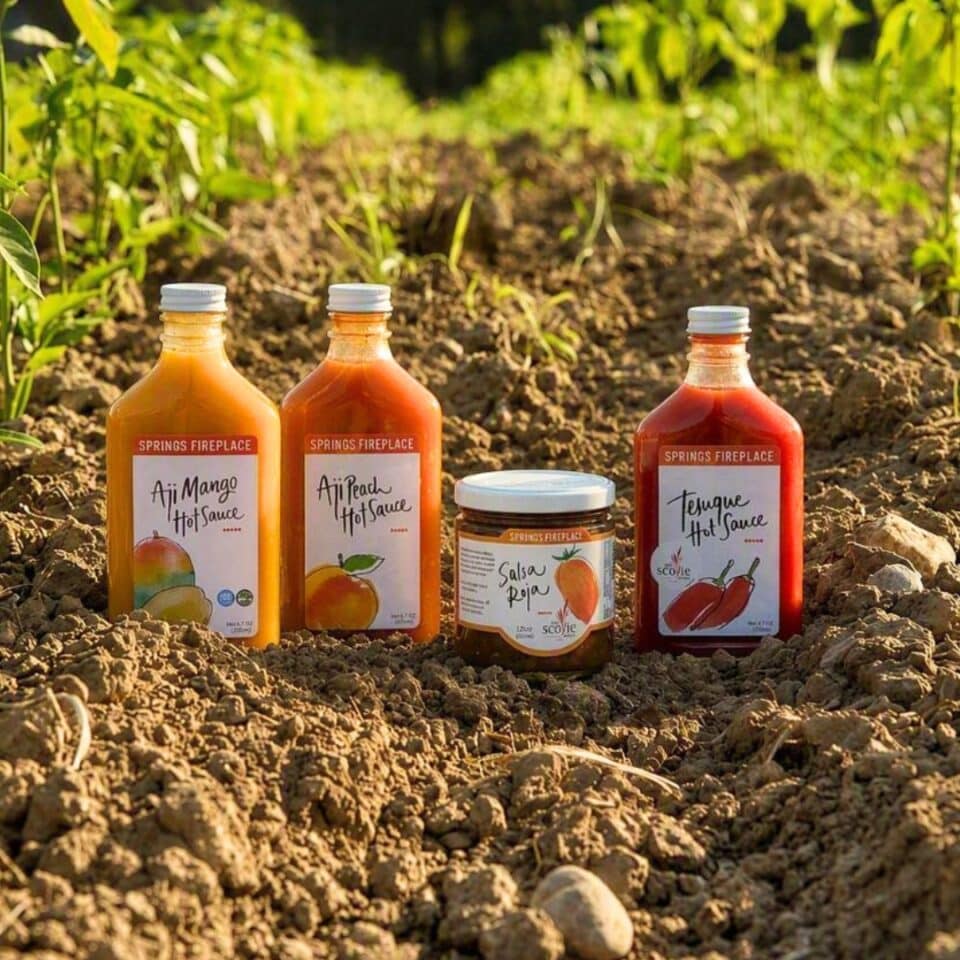 Springs fireplace hot sauce varieties in the soil of a garden