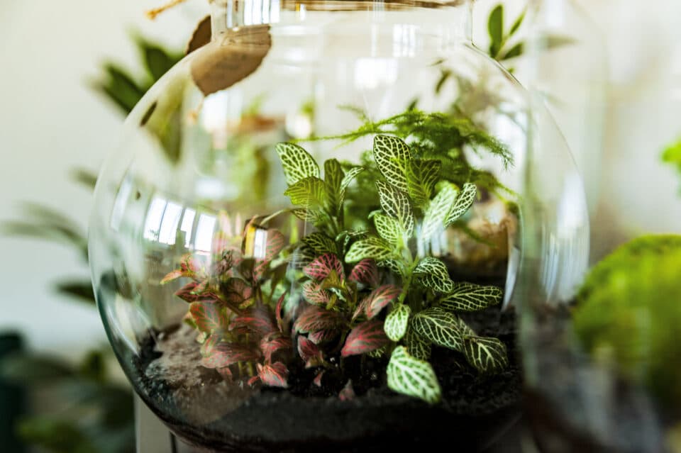 October 11: Floral Design & Wine